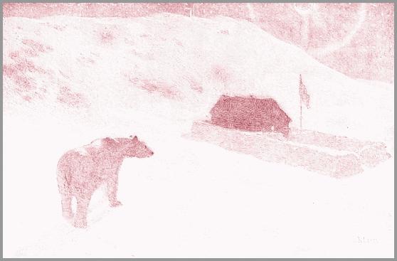 Picture showing icebear near wellman's hut