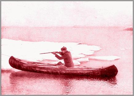 F.G. Jackson walrus-shooting from the birch-bark canoe