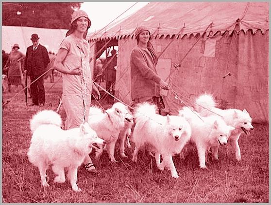 Ivy Kilburn Scott op de Richmond Dog Show in de jaren twintig
