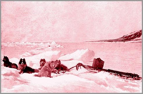 The five survivors of the Spring sledging (1897)