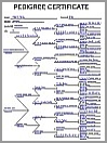 Toekomstige link naar genealogie-gerelateerde pagina's